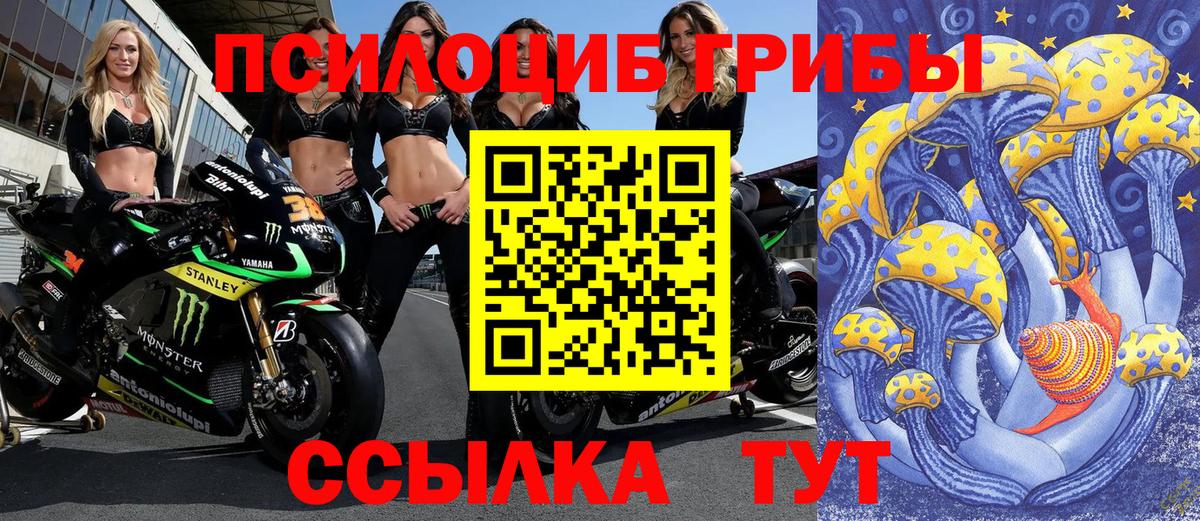Чита  Галлюциногенные грибы Magic Shrooms  Псилоцибиновые грибы ЛСД  Вход с VPN 